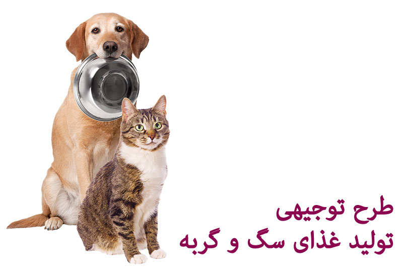 طرح توجیهی استارتاپ تولید غذای سگ و گربه ( حیوانات خانگی )