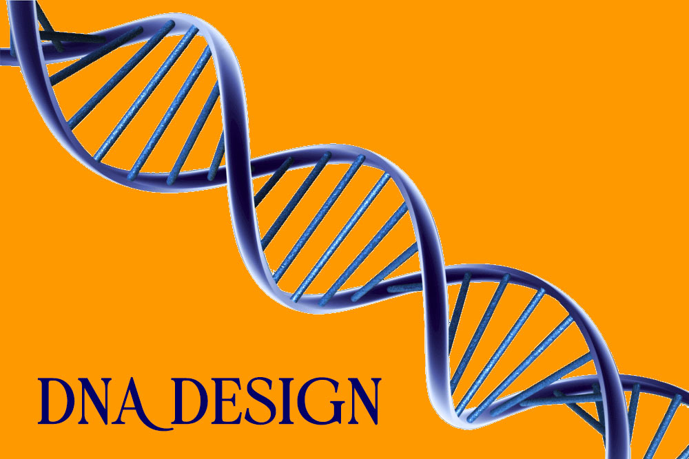 نوشتن طرح توجیهی برای تاسیس شرکت طراحی DNA استارتاپ کانادا