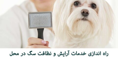 طرح توجیهی خدمات آرایش و نظافت سگ