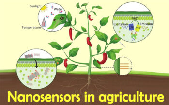 طرح تجاری تولید نانوسنسورها در تولید محصولات و کنترل آفات کشاورزی - آمریکا Nanosensors in agriculture